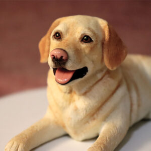 customized soft clay pet replicas