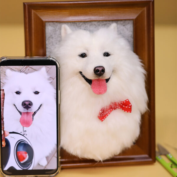 custom 3d needle felt pet portrait frame