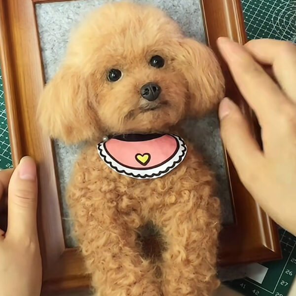 custom 3d needle felt pet portrait frame